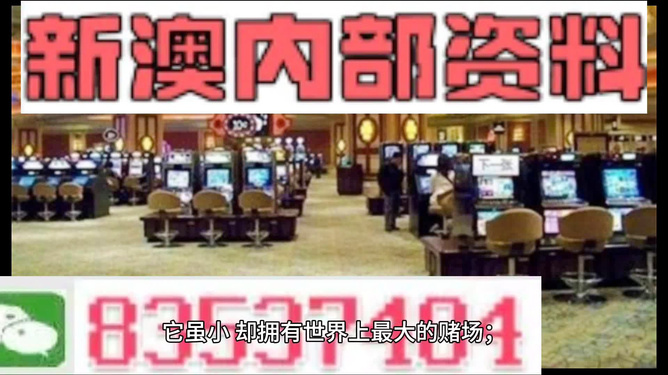 新澳2024正版资料免费公开，探索与启示