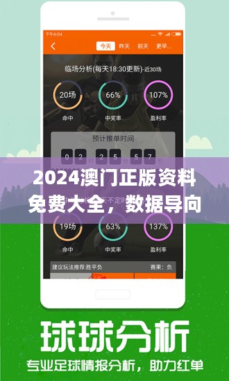 揭秘新澳历史开奖，一场充满期待的盛宴（2024年展望）